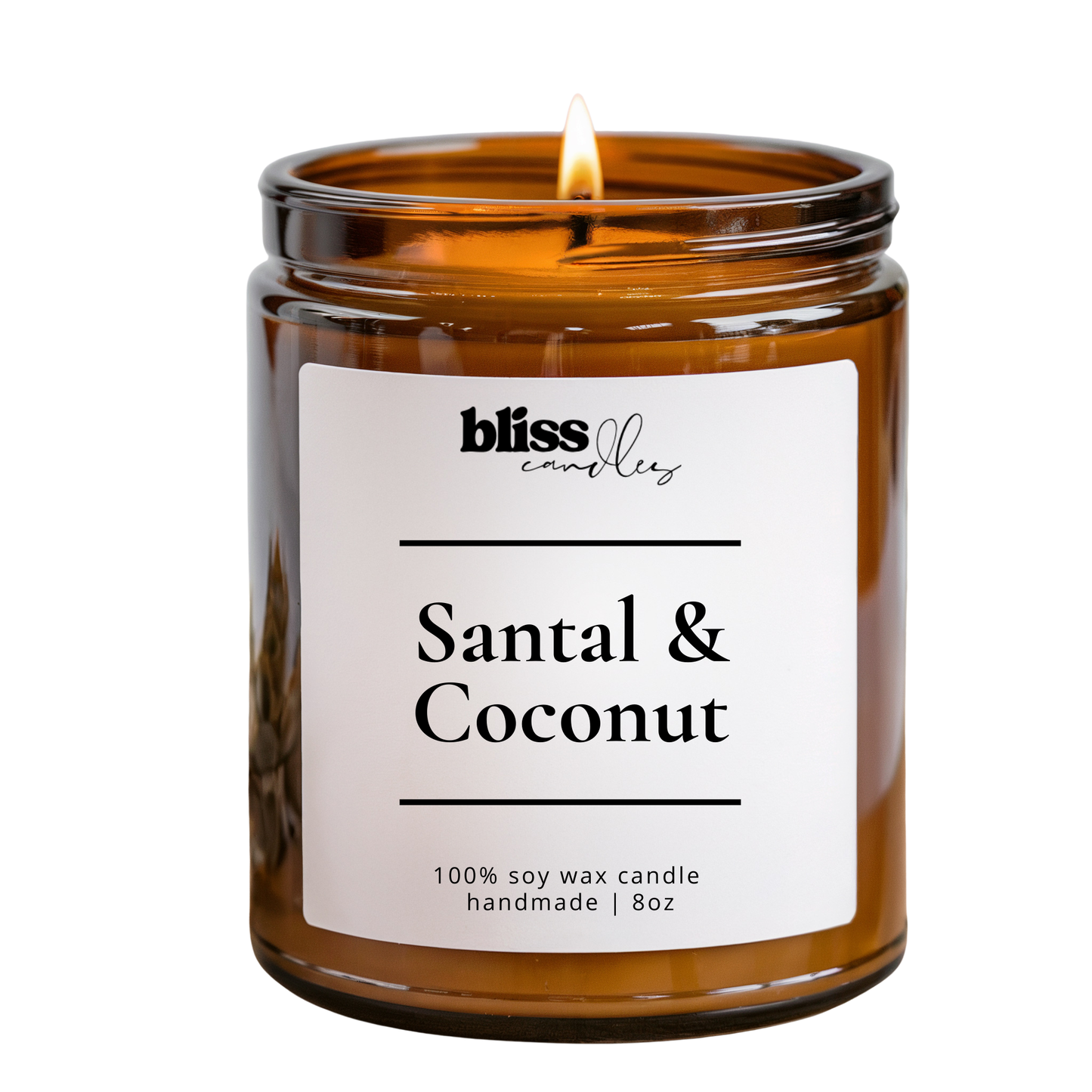 Santal & Coconut | Soy Candle | 8 oz